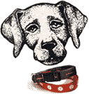 dog collars